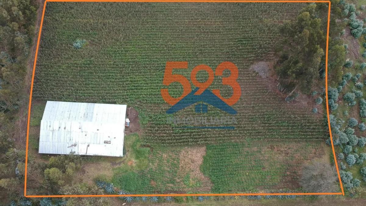 Terreno de Venta en Latacunga, Cotopaxi — imagen 8
