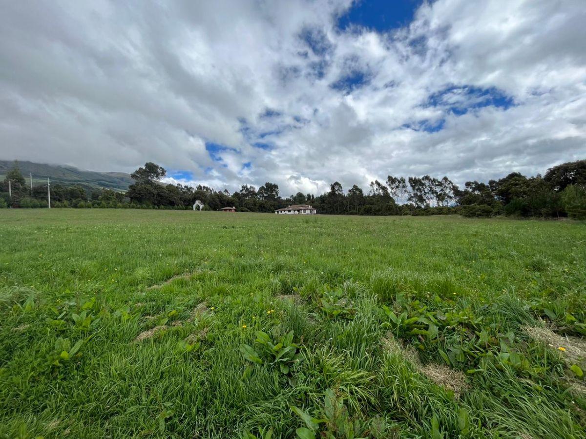 Vendo - Propiedad - Sector Machachi — imagen 10