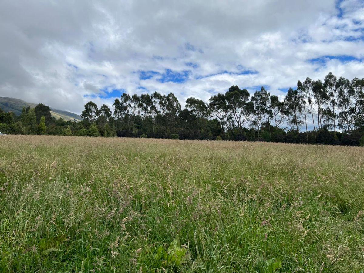 Vendo - Propiedad - Sector Machachi — imagen 8