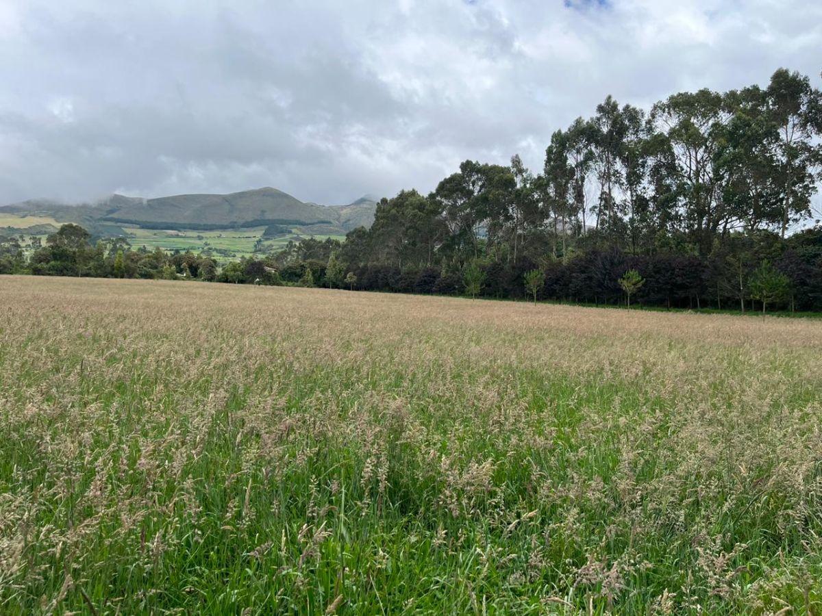 Vendo - Propiedad - Sector Machachi — imagen 7