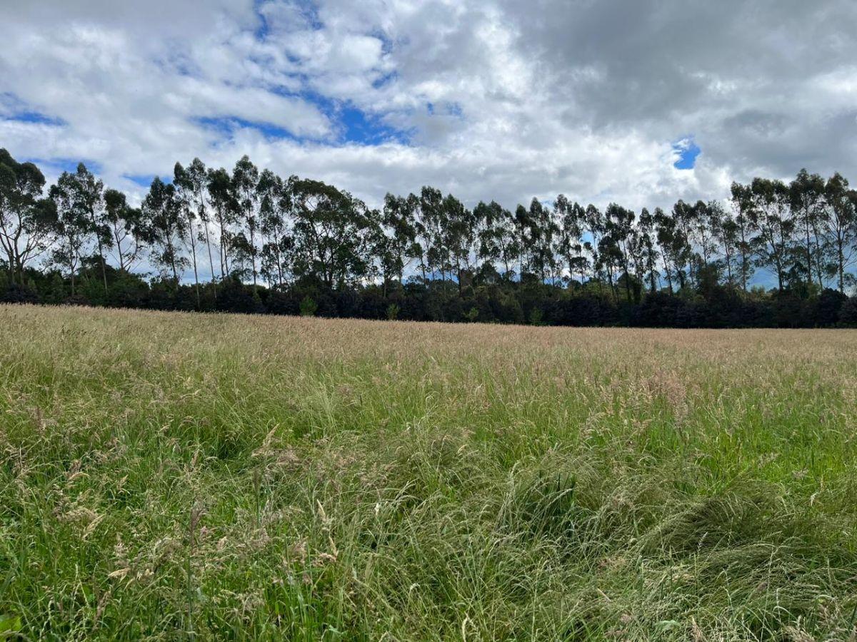 Vendo - Propiedad - Sector Machachi — imagen 6