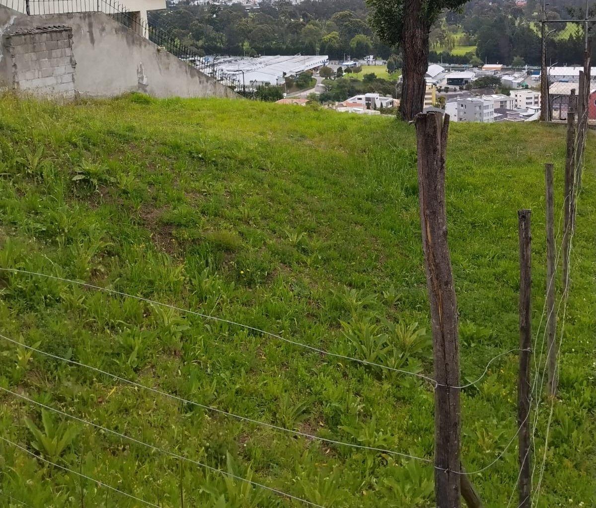 Terreno de Venta en Urbanizacion Caminos del Balcon — imagen 8