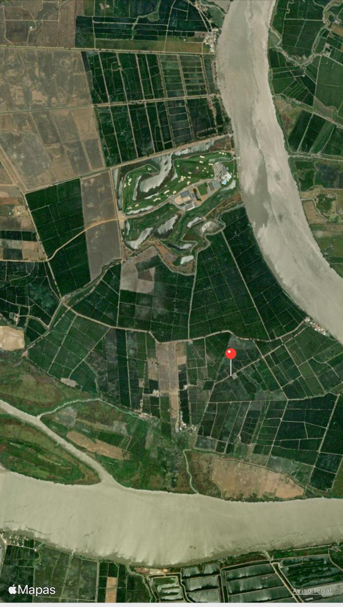 Venta 76.300 m², Nuevo Samborondon, Sector Sabanilla, Cerca Hospital Santiago, Guayas — imagen 7