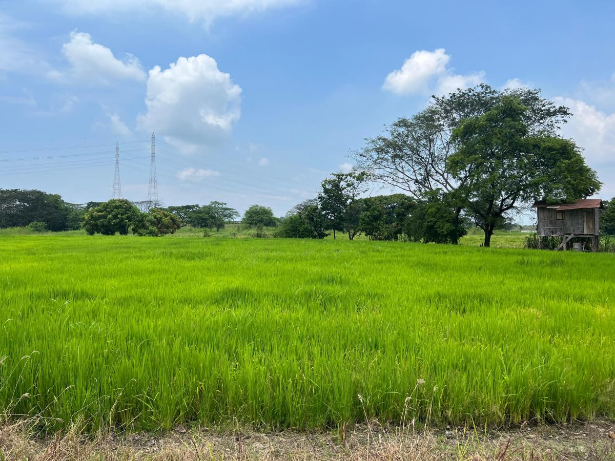 Venta 76.300 m², Nuevo Samborondon, Sector Sabanilla, Cerca Hospital Santiago, Guayas — imagen 5