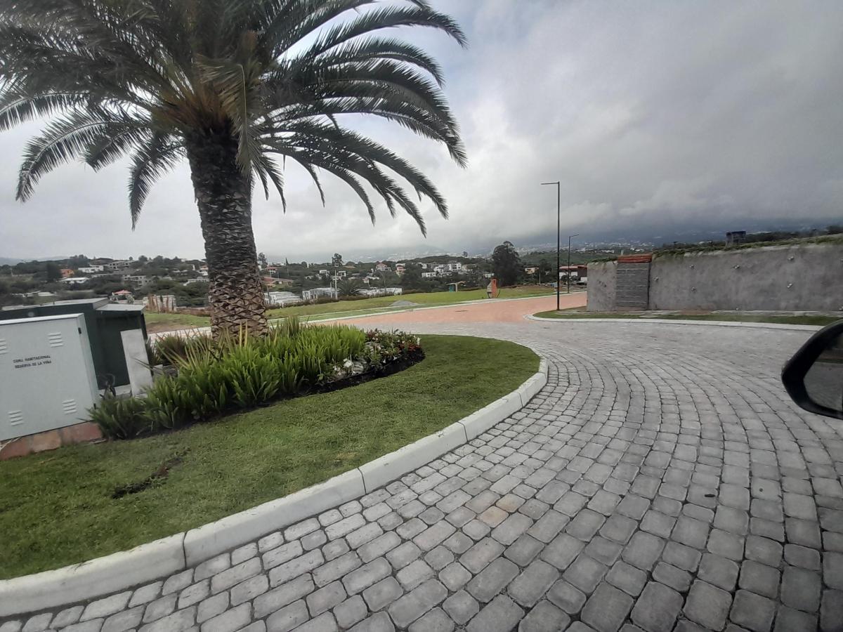 Vendo Lotes Urbanizados en Tumbaco con Hermosa Vista — imagen 6