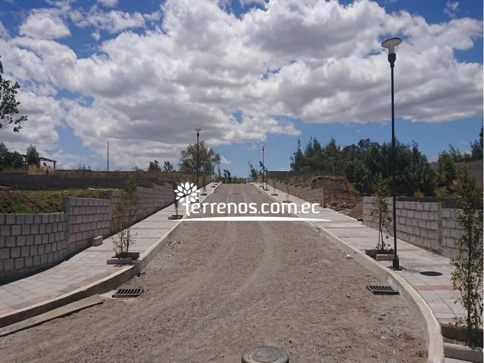 Terreno de Venta Llano Chico 2.299 m² Urb Bosques y Prados — imagen 5
