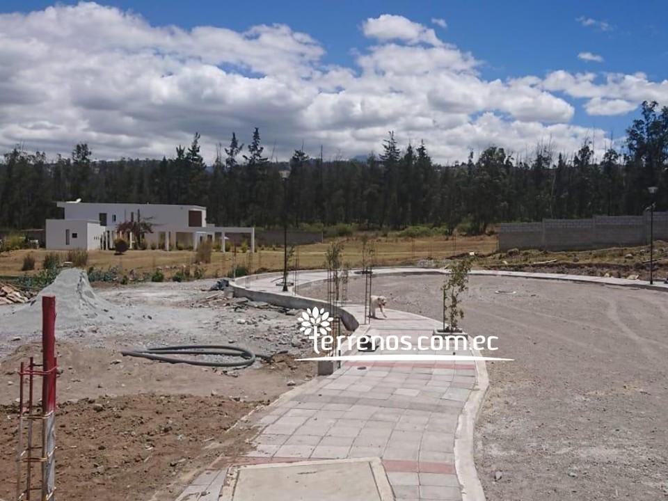 Terreno de Venta Llano Chico 2.299 m² Urb Bosques y Prados — imagen 4