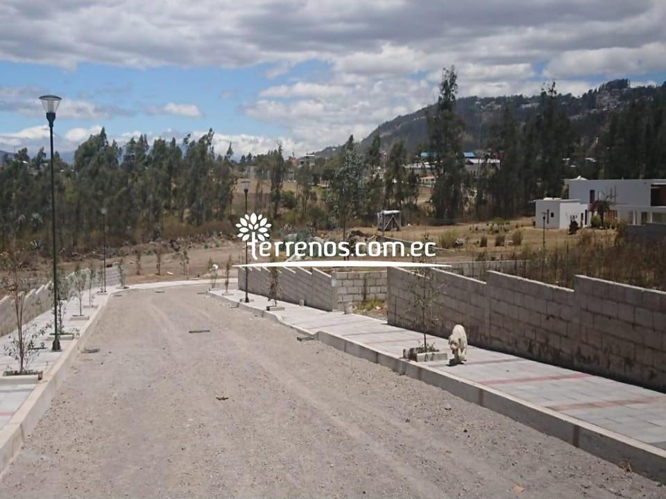 Terreno de Venta Llano Chico 2.299 m² Urb Bosques y Prados — imagen 2
