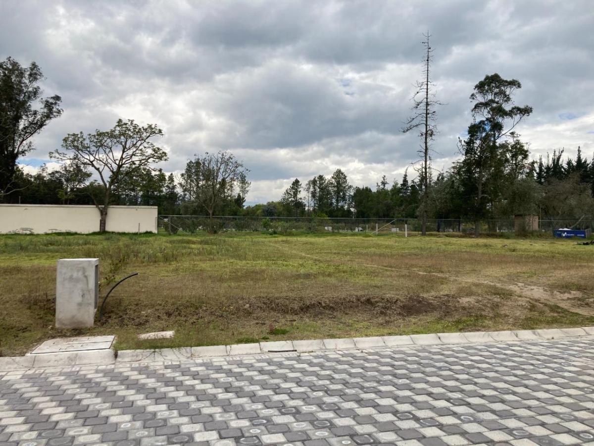 Terreno de Venta Ubicado Dentro de Urbanización Nueva en Puembo, Ideal Ubicación — imagen 6