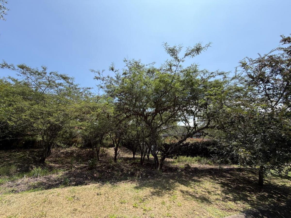 Vendo Terreno Unifamiliar Esquinero, Sector La Viña/ Tumbaco — imagen 3