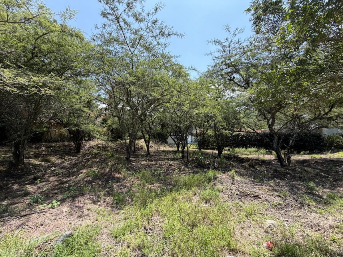 Vendo Terreno Unifamiliar Esquinero, Sector La Viña/ Tumbaco — imagen 2