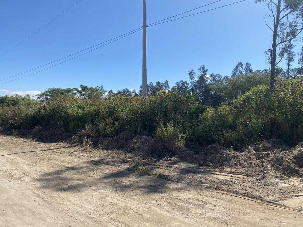 Terreno de Venta en Puembo, Sector Nápoles. Plano, Amplia Plusvalía, Vista. Provincia de Pichincha — imagen 3