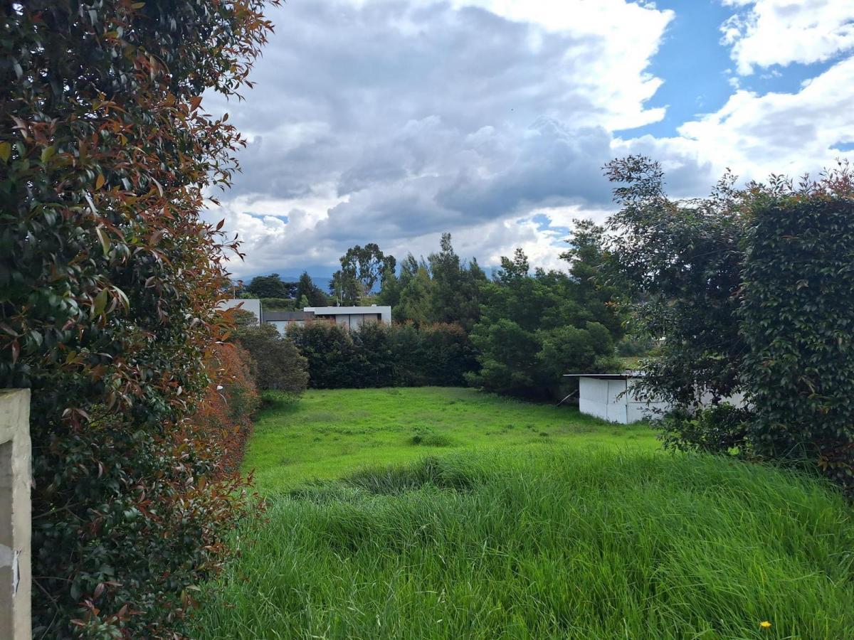 Terreno de Venta Dentro de Urbanización — imagen 9