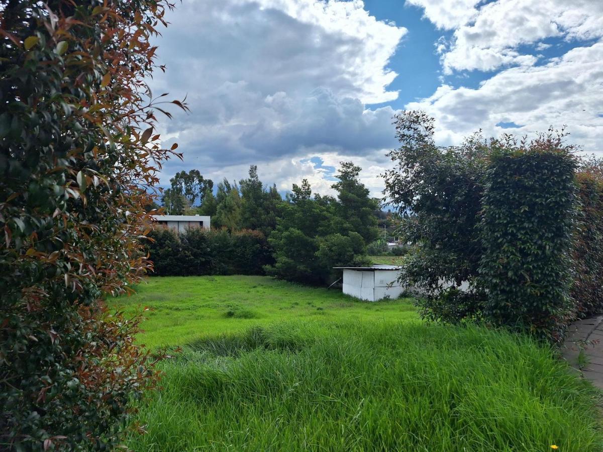 Terreno de Venta Dentro de Urbanización — imagen 8