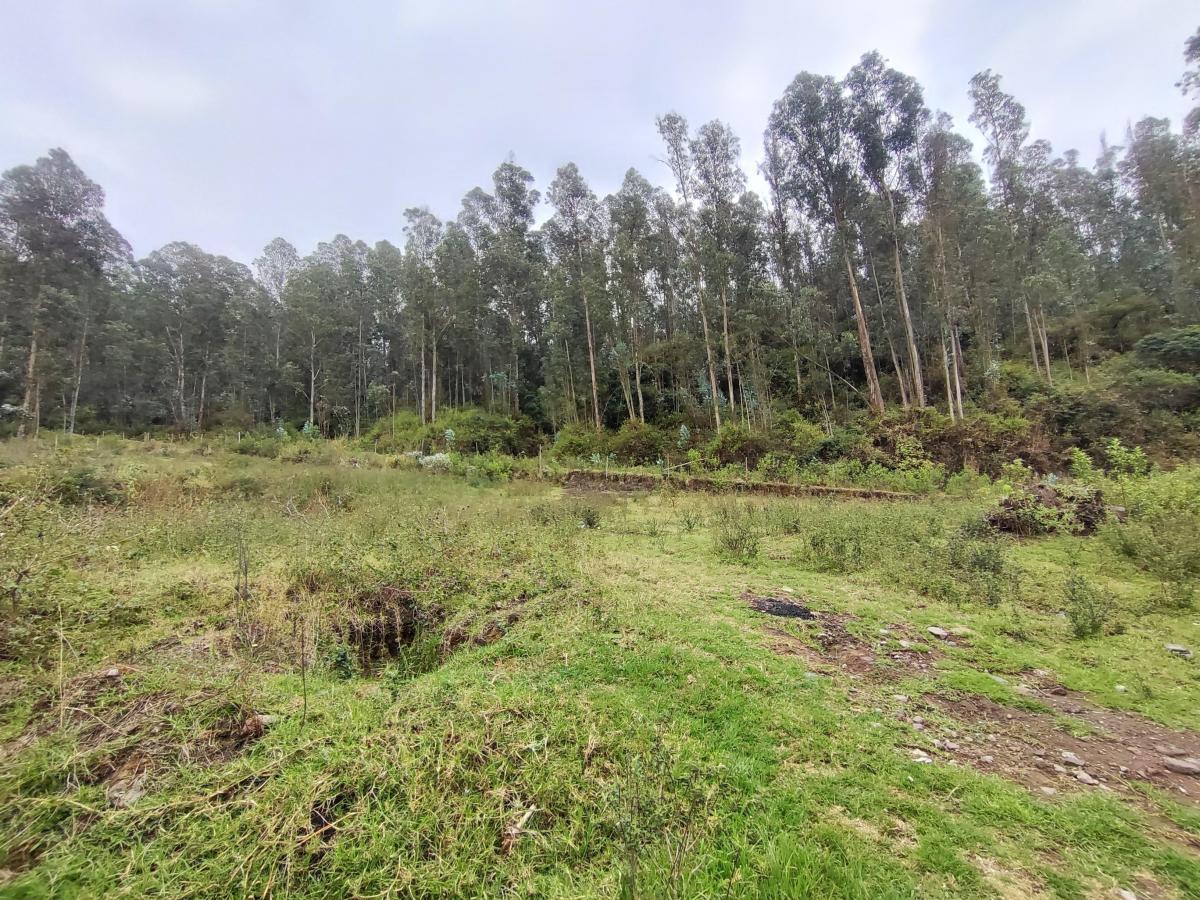 Terreno Esquinero en Venta de 2.841 m² en La Armenia — imagen 8
