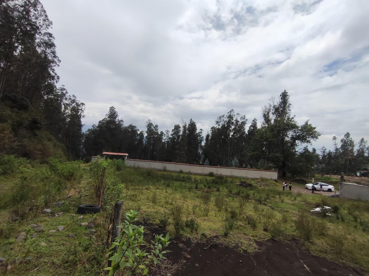 Terreno Esquinero en Venta de 2.841 m² en La Armenia — imagen 6