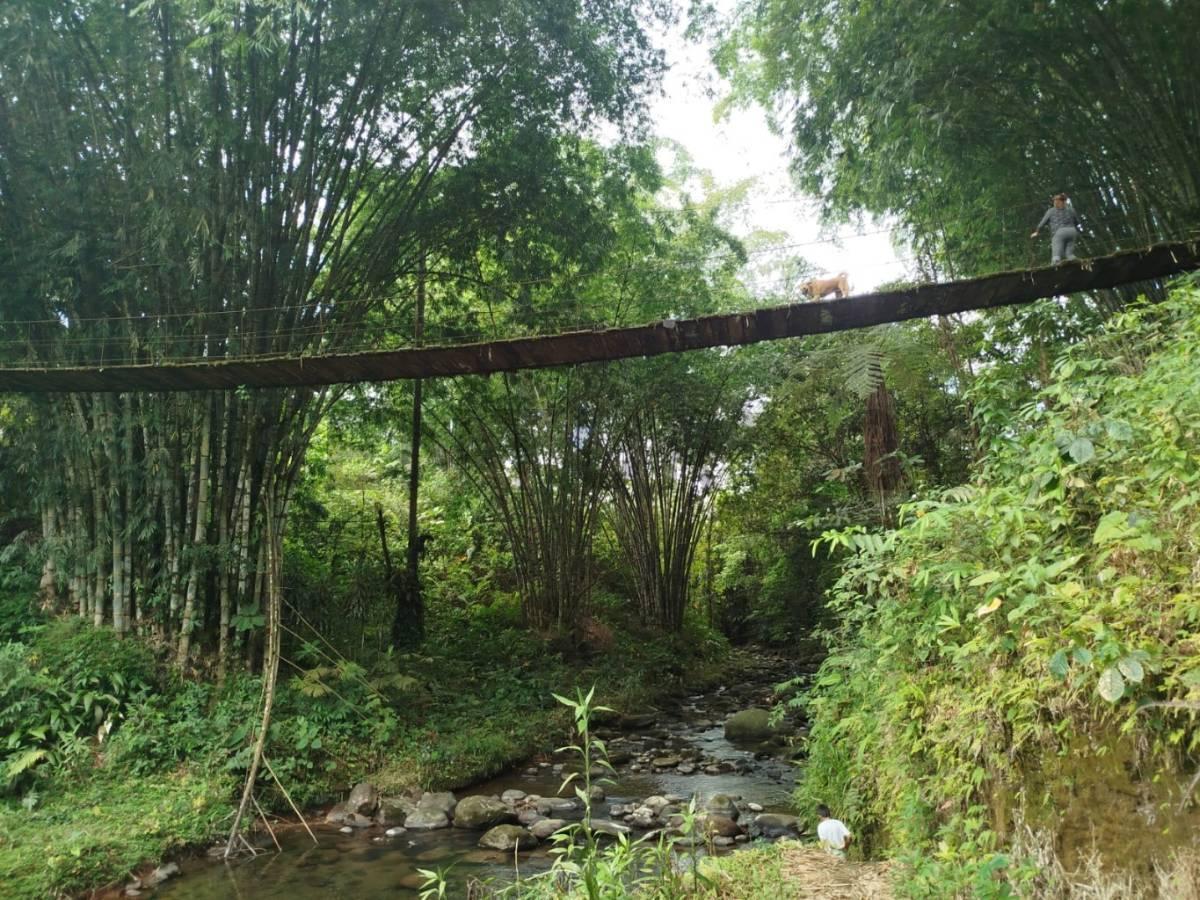 En Venta Terreno de 37.5 Hectáreas Km 14 Vía Los Bancos - Valle Hermoso — imagen 7