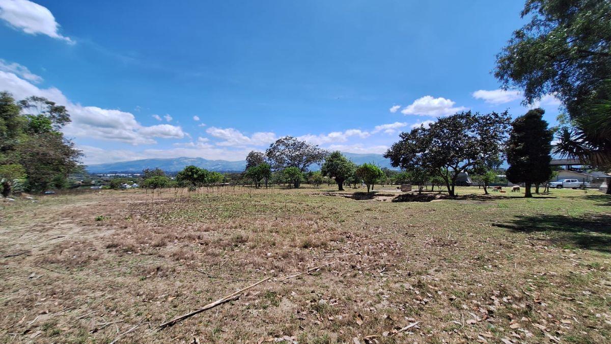 Terreno 12.200 m² Puembo - Tumbaco en Remate $550.000 Alta Plusvalía Inversión Segura Ya Hoy — imagen 10