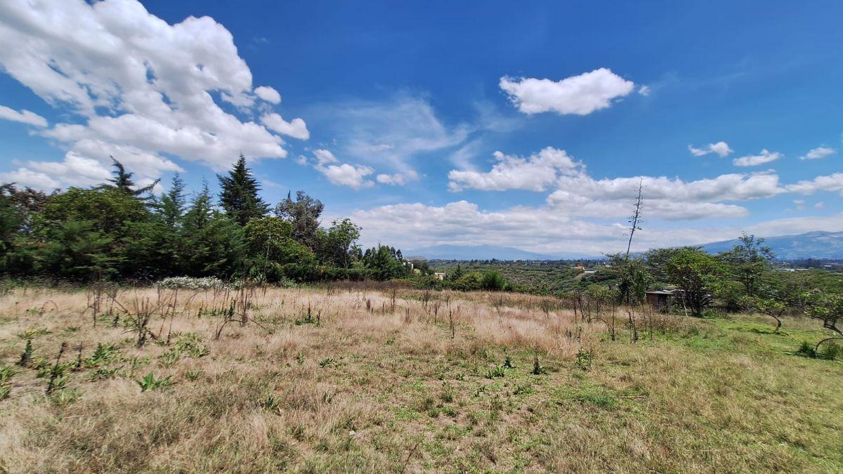 Terreno 12.200 m² Puembo - Tumbaco en Remate $550.000 Alta Plusvalía Inversión Segura Ya Hoy — imagen 9