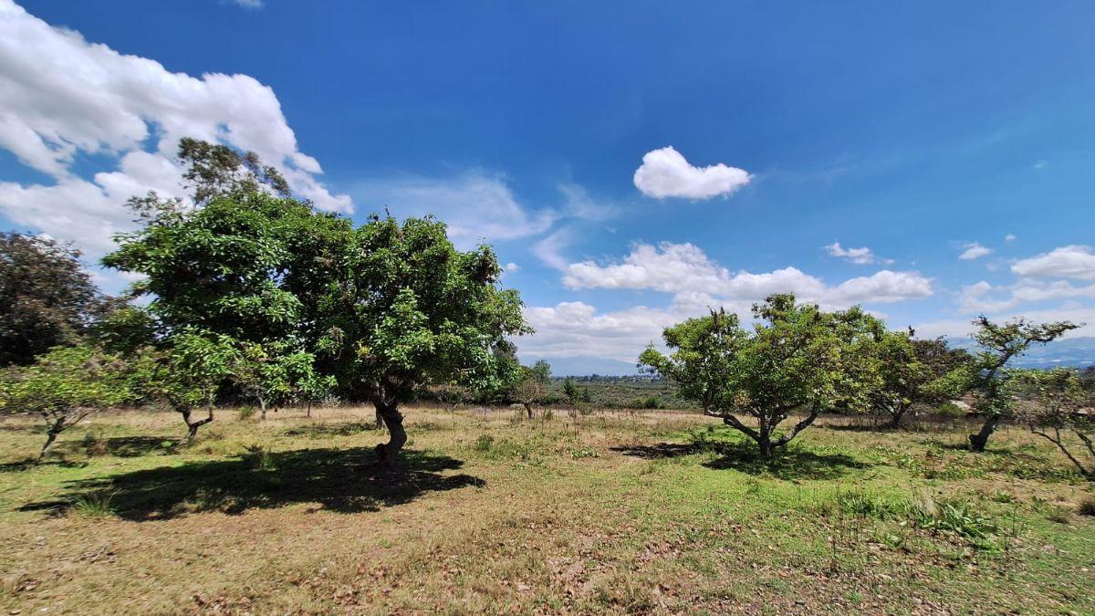 Terreno 12.200 m² Puembo - Tumbaco en Remate $550.000 Alta Plusvalía Inversión Segura Ya Hoy — imagen 8