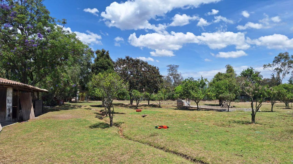 Terreno 12.200 m² Puembo - Tumbaco en Remate $550.000 Alta Plusvalía Inversión Segura Ya Hoy — imagen 7