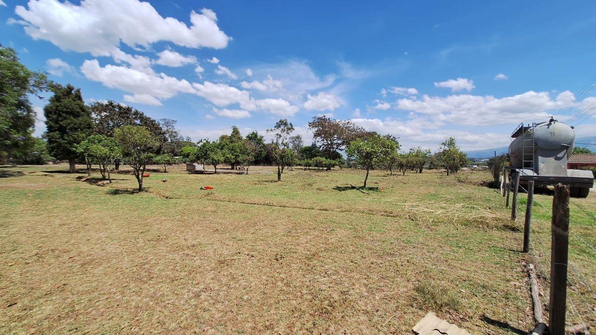 Terreno 12.200 m² Puembo - Tumbaco en Remate $550.000 Alta Plusvalía Inversión Segura Ya Hoy — imagen 6