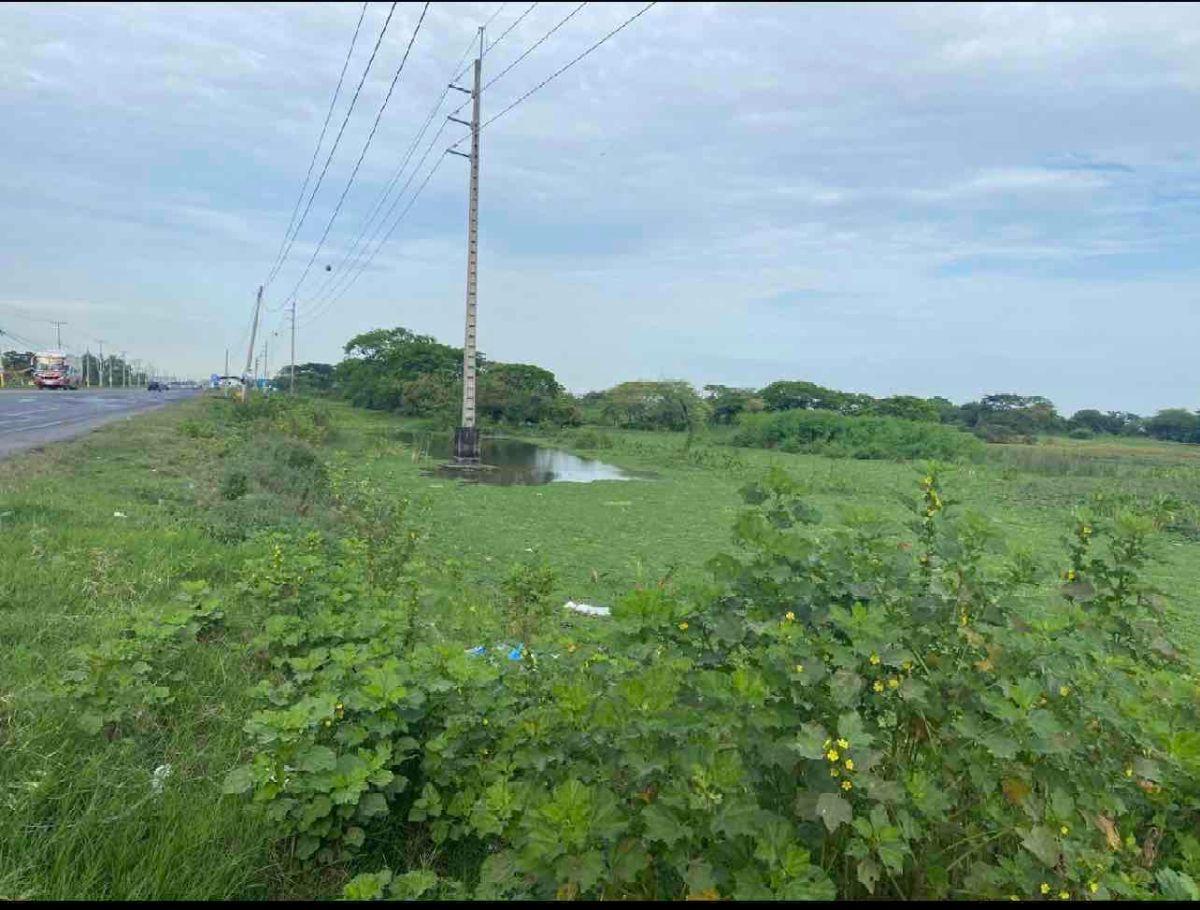 Venta 290.000 m² en La Vía a Los Lojas, Se Ingresa Desde La Via a Salitre Km12 por Via Asfaltada, Guayas — imagen 6