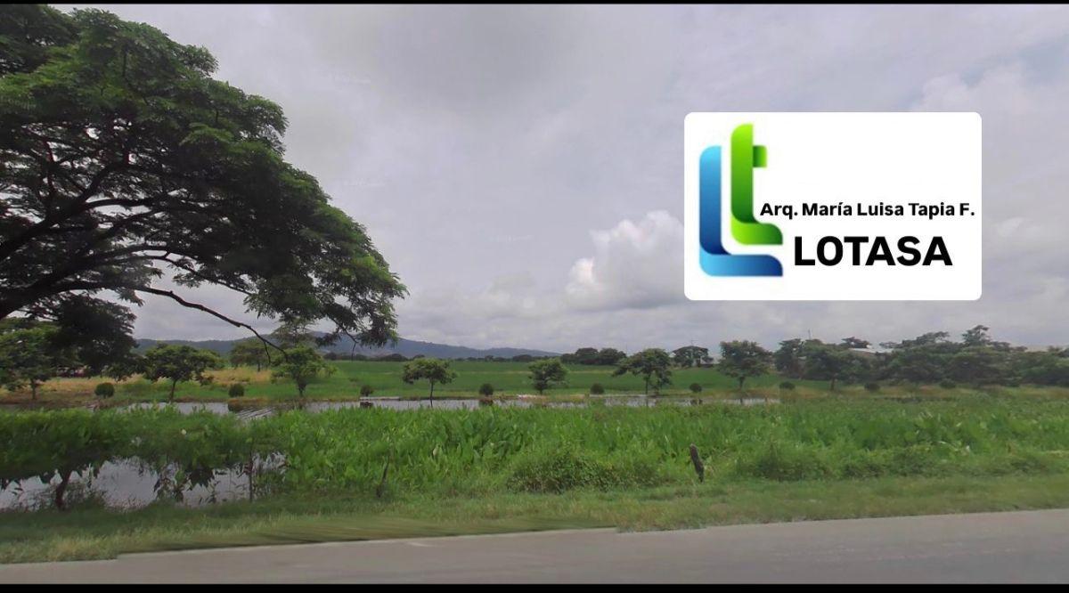 Venta 290.000 m² en La Vía a Los Lojas, Se Ingresa Desde La Via a Salitre Km12 por Via Asfaltada, Guayas — imagen 2