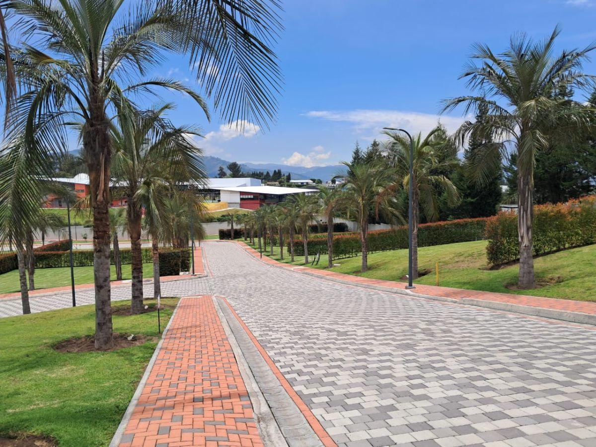 Lotes de Terreno en Venta, Puembo, Urbanización de Lujo — imagen 8