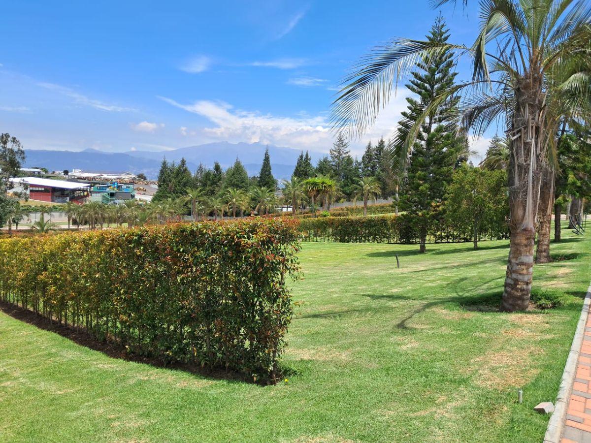 Lotes de Terreno en Venta, Puembo, Urbanización de Lujo — imagen 7