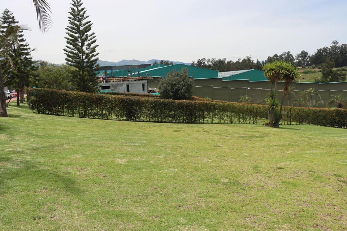 Lotes de Terreno en Venta, Puembo, Urbanización de Lujo — imagen 6