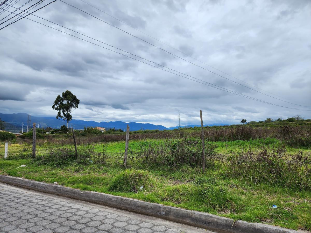 Vendo Terreno Plano 18.000 m en Chaltura Bellavista Imbabura, Imbabura — imagen 10