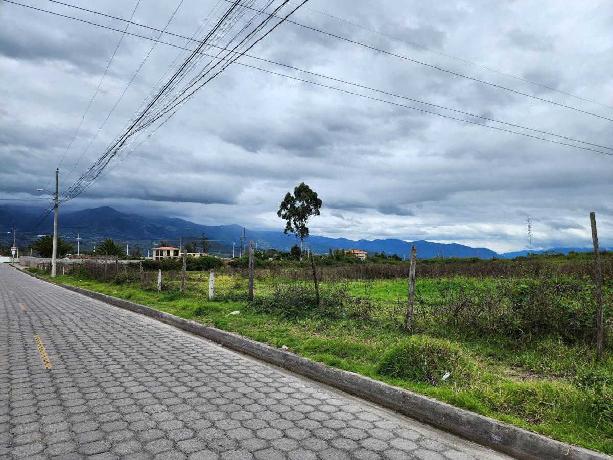 Vendo Terreno Plano 18.000 m en Chaltura Bellavista Imbabura, Imbabura — imagen 9