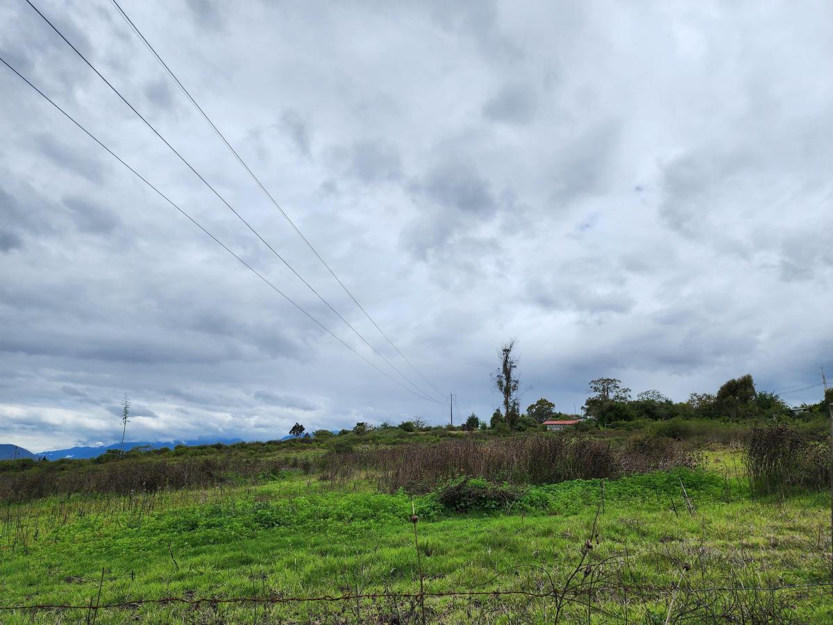 Vendo Terreno Plano 18.000 m en Chaltura Bellavista Imbabura, Imbabura — imagen 8