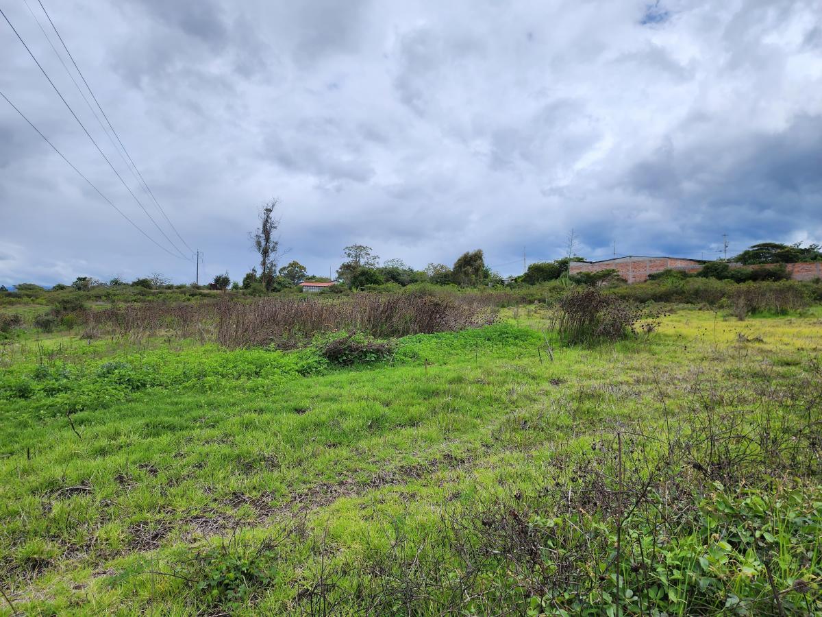 Vendo Terreno Plano 18.000 m en Chaltura Bellavista Imbabura, Imbabura — imagen 7