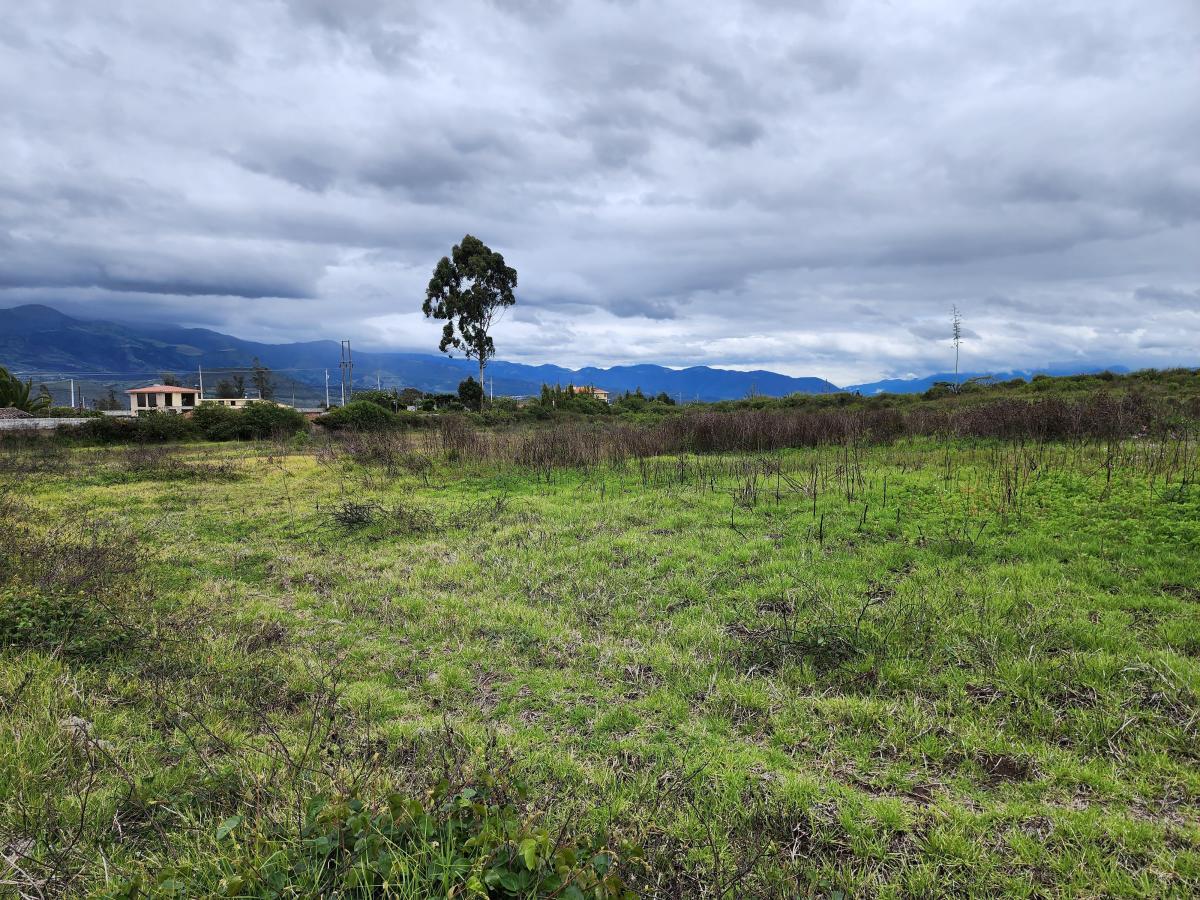 Vendo Terreno Plano 18.000 m en Chaltura Bellavista Imbabura, Imbabura — imagen 6