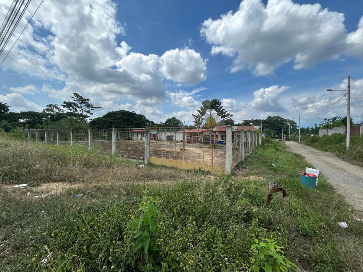 Santa Rosa, El Oro, Venta Terreno de 1.200 m² con Construcción, El Oro — imagen 9