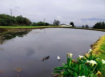 Excelente Terreno Rural de Venta en Yaruqui! Vista! — imagen 3