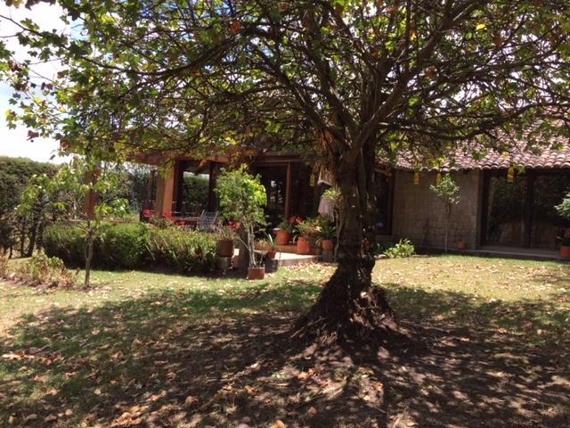 Vendo Terreno en Sangolqui Para Constructores 16.815 m² $1´092.000 — imagen 6