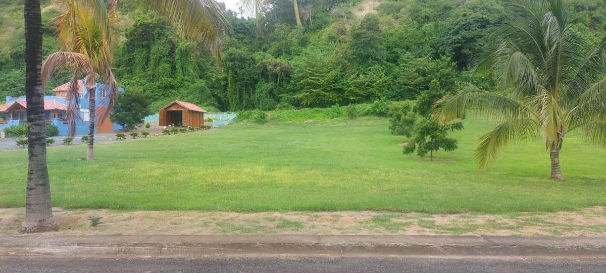 Terreno en Venta Frente Al Mar - El Matal - Jama, Manabí — imagen 10