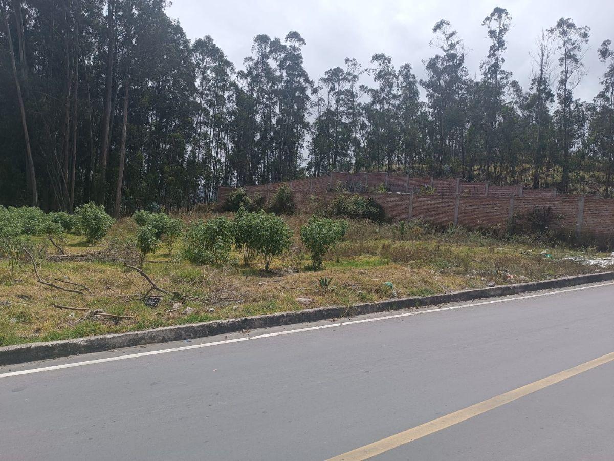Terreno de 1500 m² en Venta Sector El Vergel, Via a San Clemente. Chimborazo — imagen 9