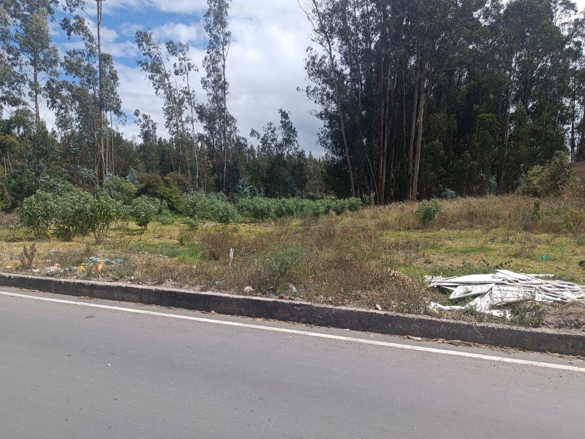 Terreno de 1500 m² en Venta Sector El Vergel, Via a San Clemente. Chimborazo — imagen 7