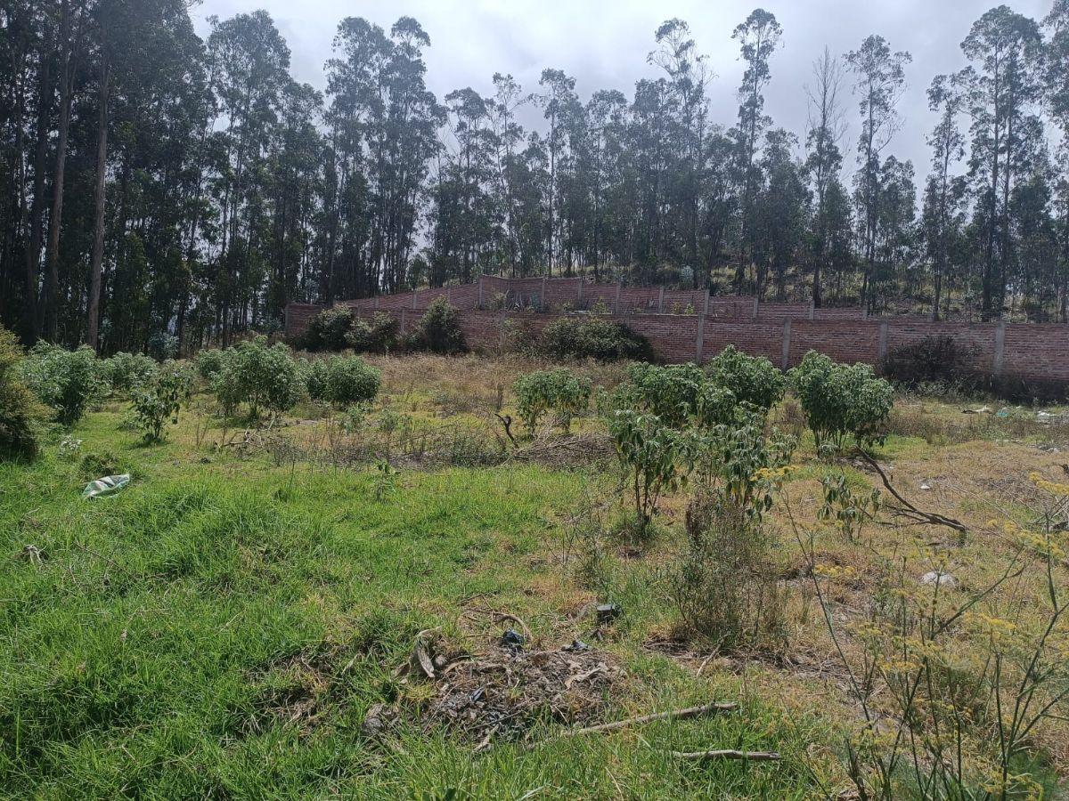 Terreno de 1500 m² en Venta Sector El Vergel, Via a San Clemente. Chimborazo — imagen 5