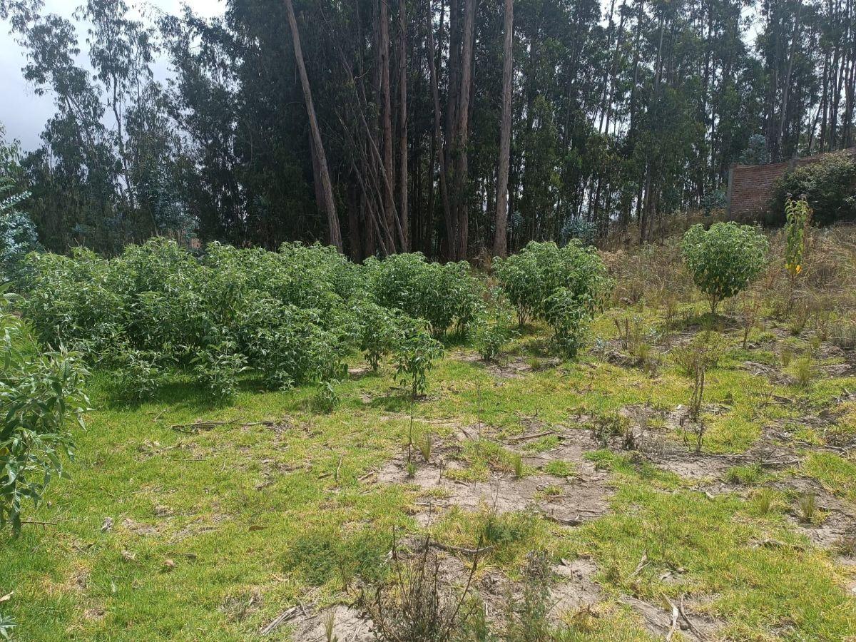 Terreno de 1500 m² en Venta Sector El Vergel, Via a San Clemente. Chimborazo — imagen 4