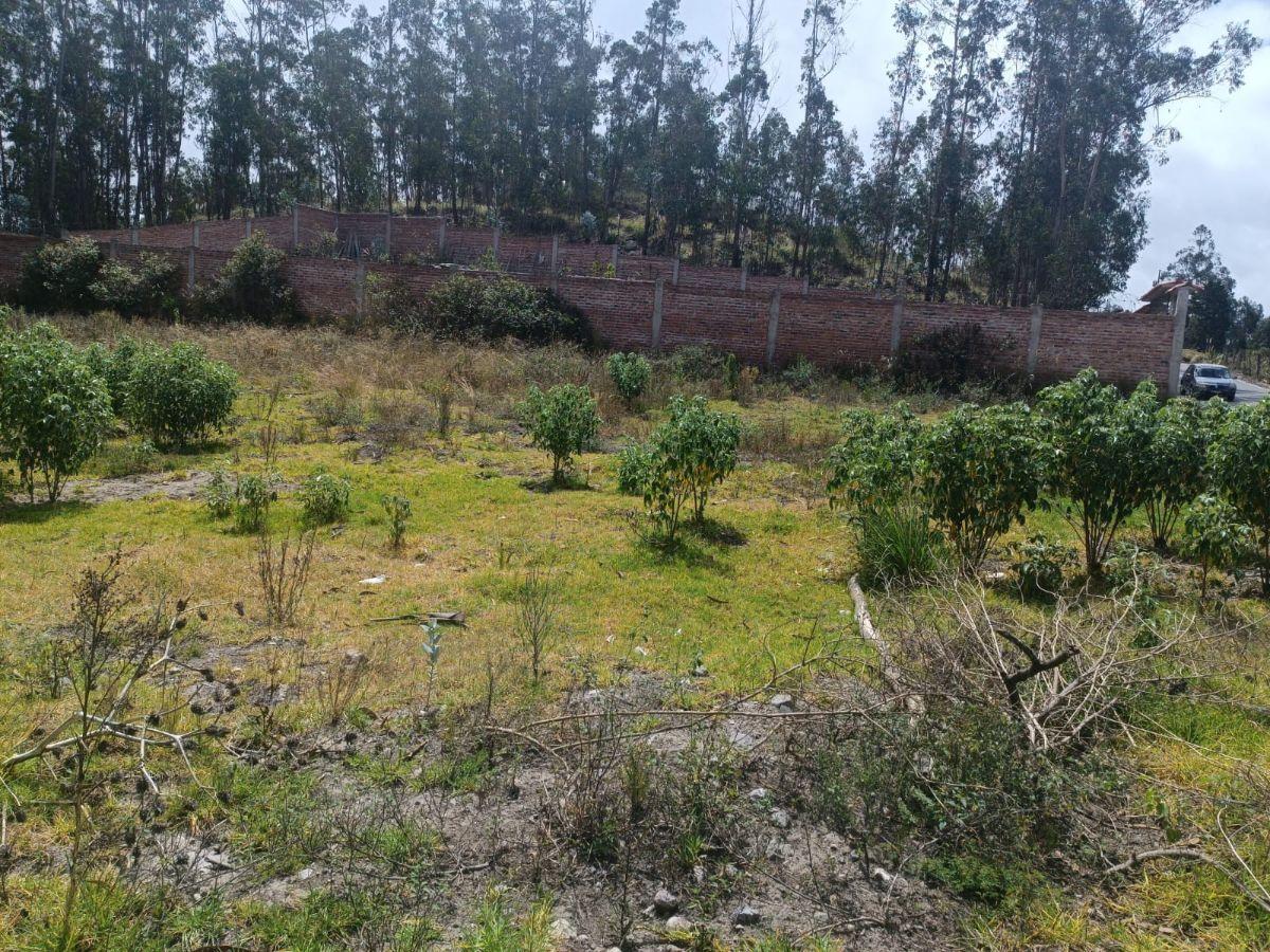 Terreno de 1500 m² en Venta Sector El Vergel, Via a San Clemente. Chimborazo — imagen 3