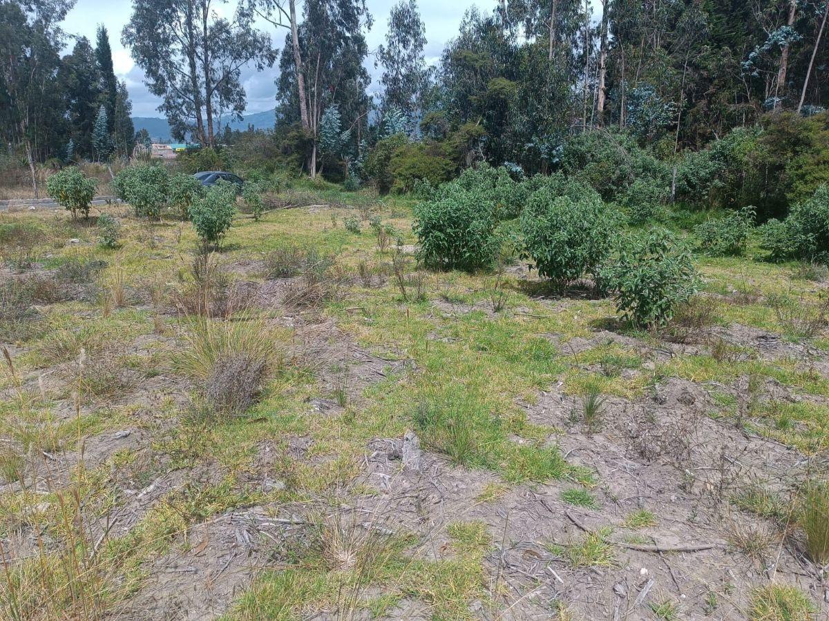 Terreno de 1500 m² en Venta Sector El Vergel, Via a San Clemente. Chimborazo — imagen 2