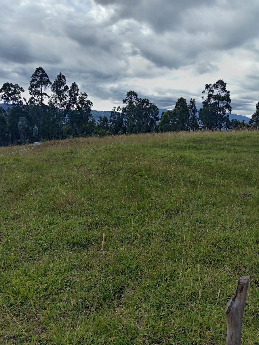Se Vende Terreno en Altos de Betania - Alangasi — imagen 5