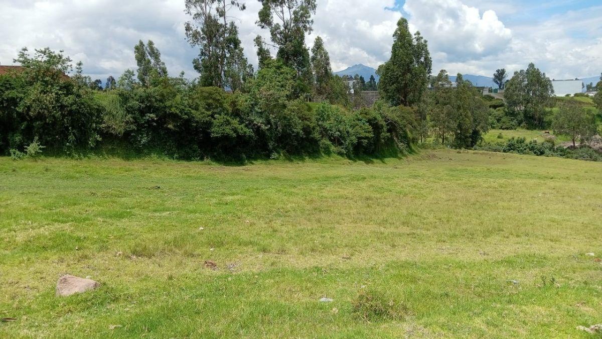 Se Vende Terreno en Altos de Betania - Alangasi — imagen 3