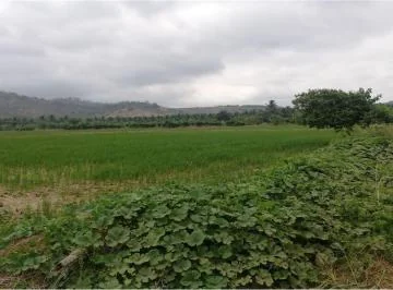 Terreno Arrocero de Venta en Rocafuerte Manabi, Manabí — imagen 5