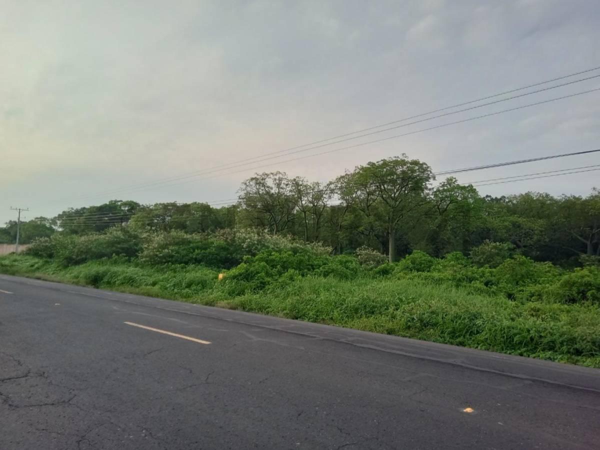 Se Venden 23.95 Hectáreas con Uso de Suelo Industrial en Ingreso Manta Jaramijó, Manabí — imagen 5